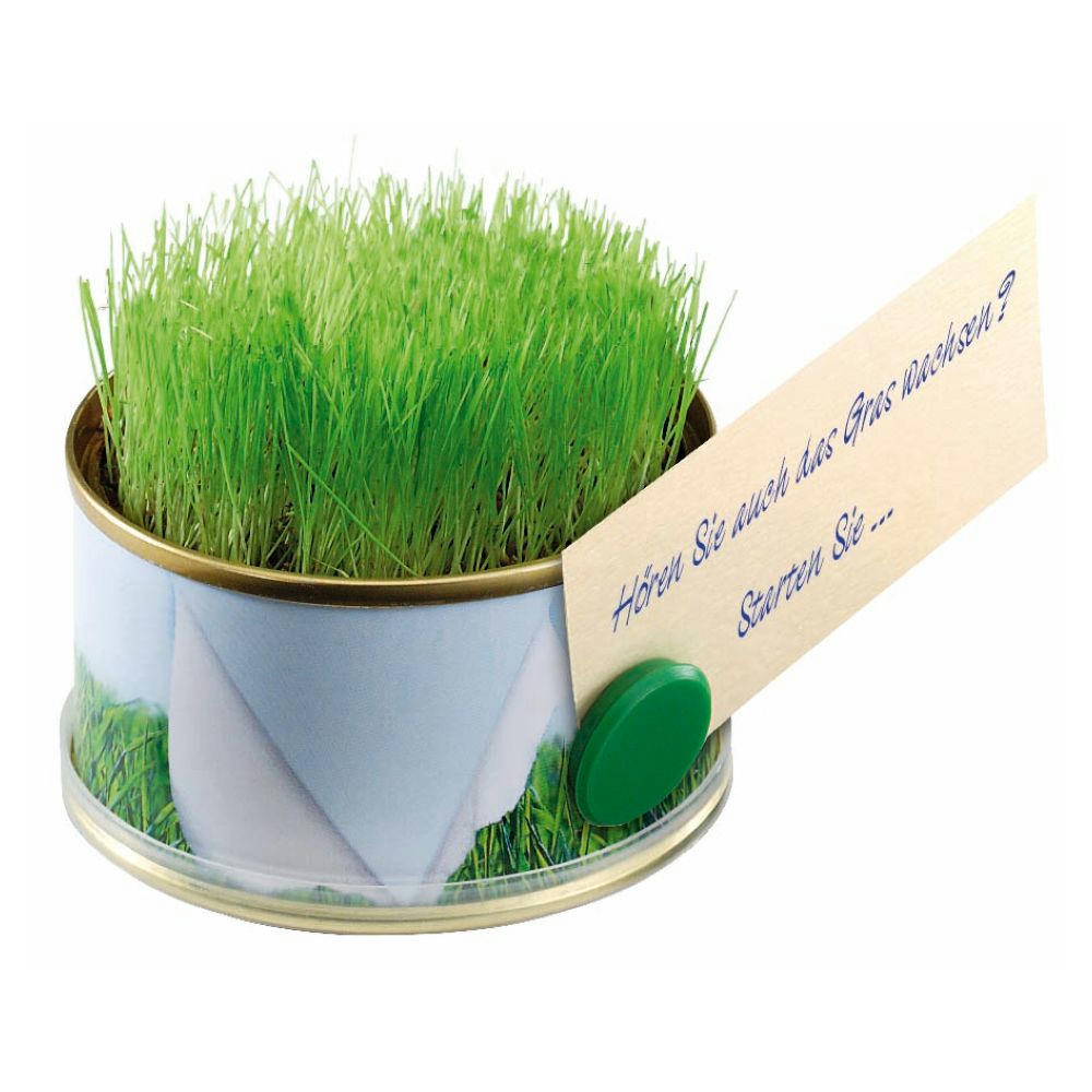 Minigarten Gras mit Magnet