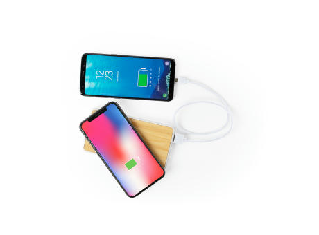 Power Bank Dickens