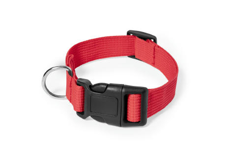 Collar Mastif