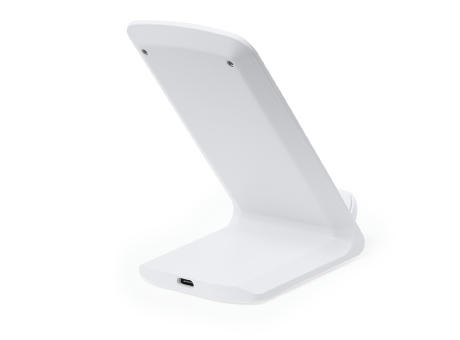 Cargador Tayil RCS