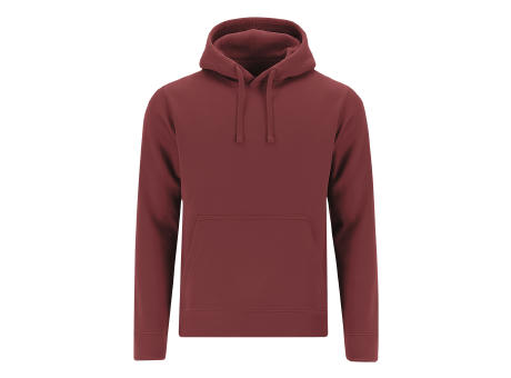 Sudadera Adulto Draco