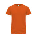Camiseta Adulto Color Stiles
