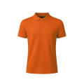 Polo Bartel Color