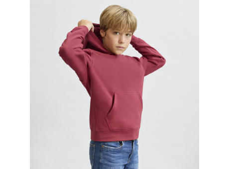 Sudadera Niño Draco
