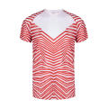 Camiseta Adulto Tingyi