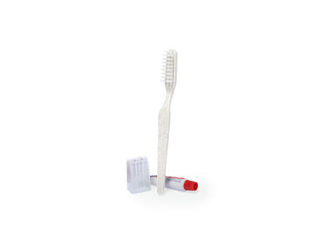 Set Dental Kit