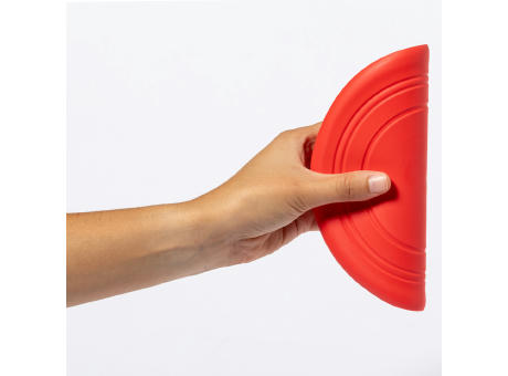 Frisbee Girud