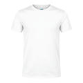 Camiseta Adulto Rox
