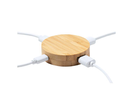 Puerto USB Lasiar