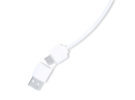 Puerto USB Lasiar