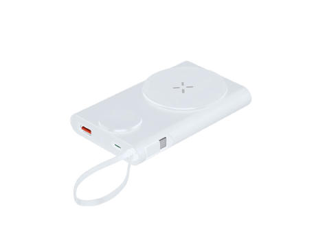 Power Bank Barian
