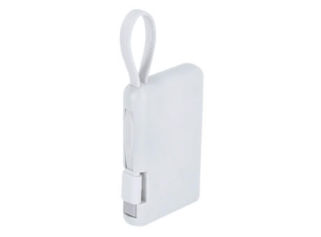 Power Bank Brandin