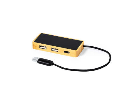 Puerto USB Ginger