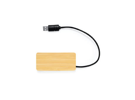 Puerto USB Ginger
