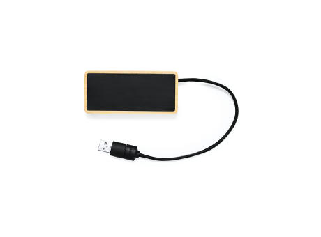 Puerto USB Ginger