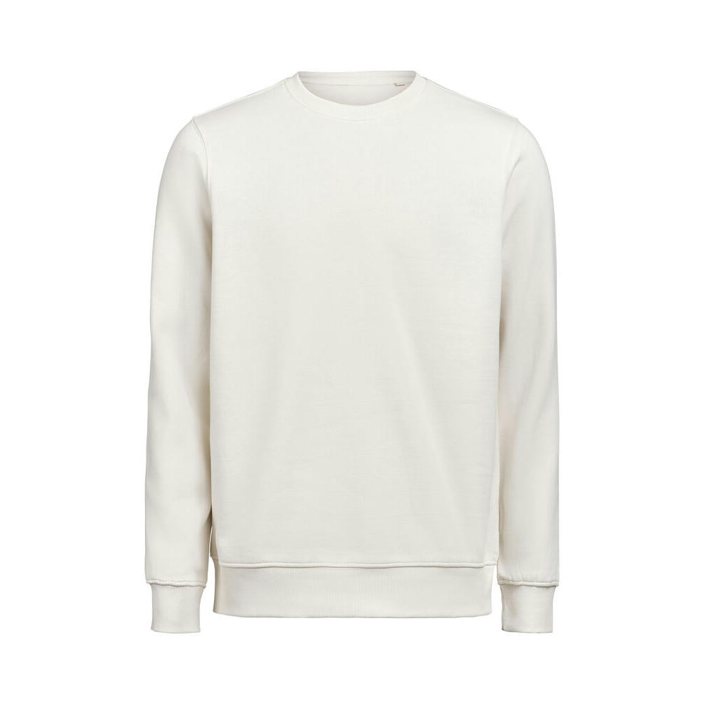 UM CREWNECK OCS-RCS REGULAR FIT BIRCH XXS