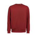 UM CREWNECK OCS-RCS REGULAR FIT BRICK XXS