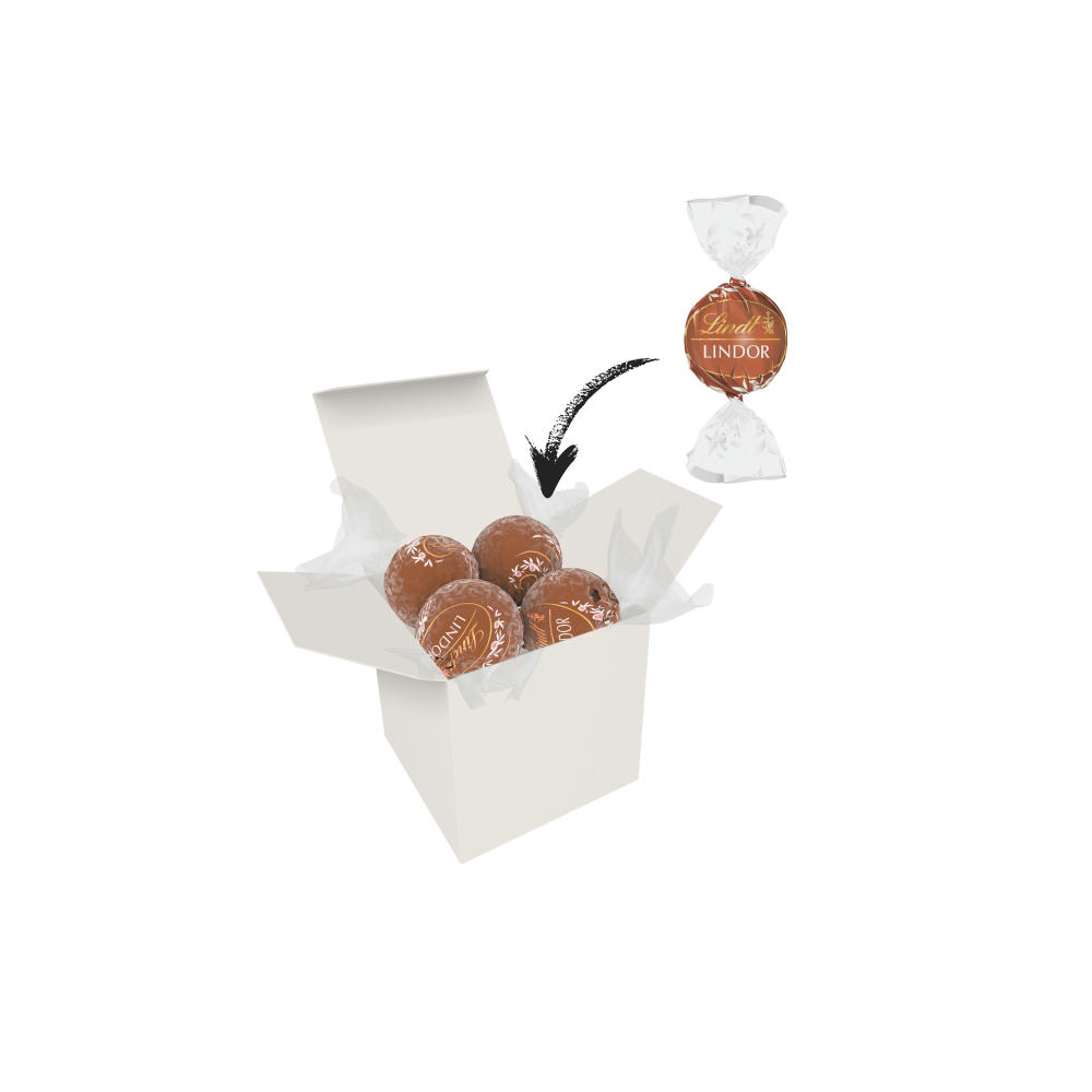 Color Lindor Box - Weiß - Haselnuss