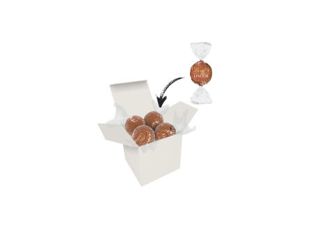 Color Lindor Box - Weiß - Haselnuss