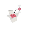Color Lindor Box - Weiß - Erdbeer-Sahne