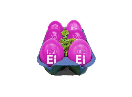 LogoEi 6er-Box - Blau - Pink