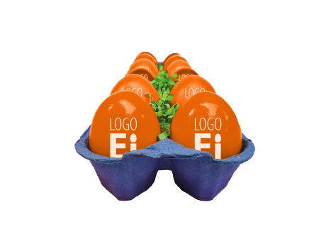 LogoEi 12er-Box - Blau - Orange