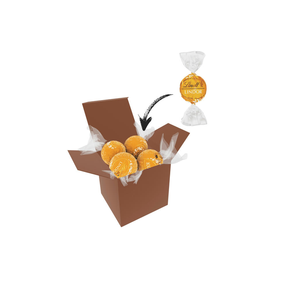 Color Lindor Box - Braun - Karamell