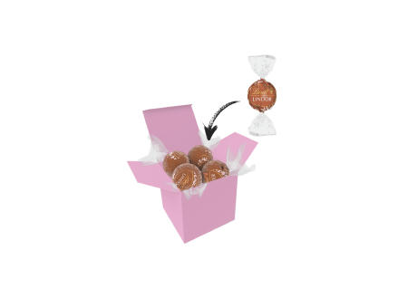 Color Lindor Box - Rosa - Haselnuss