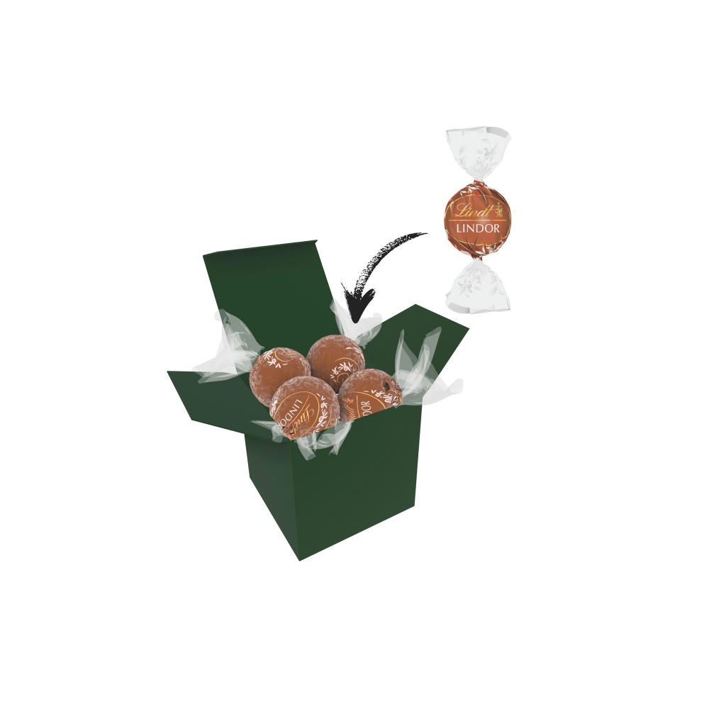 Color Lindor Box - Dunkelgrün - Haselnuss